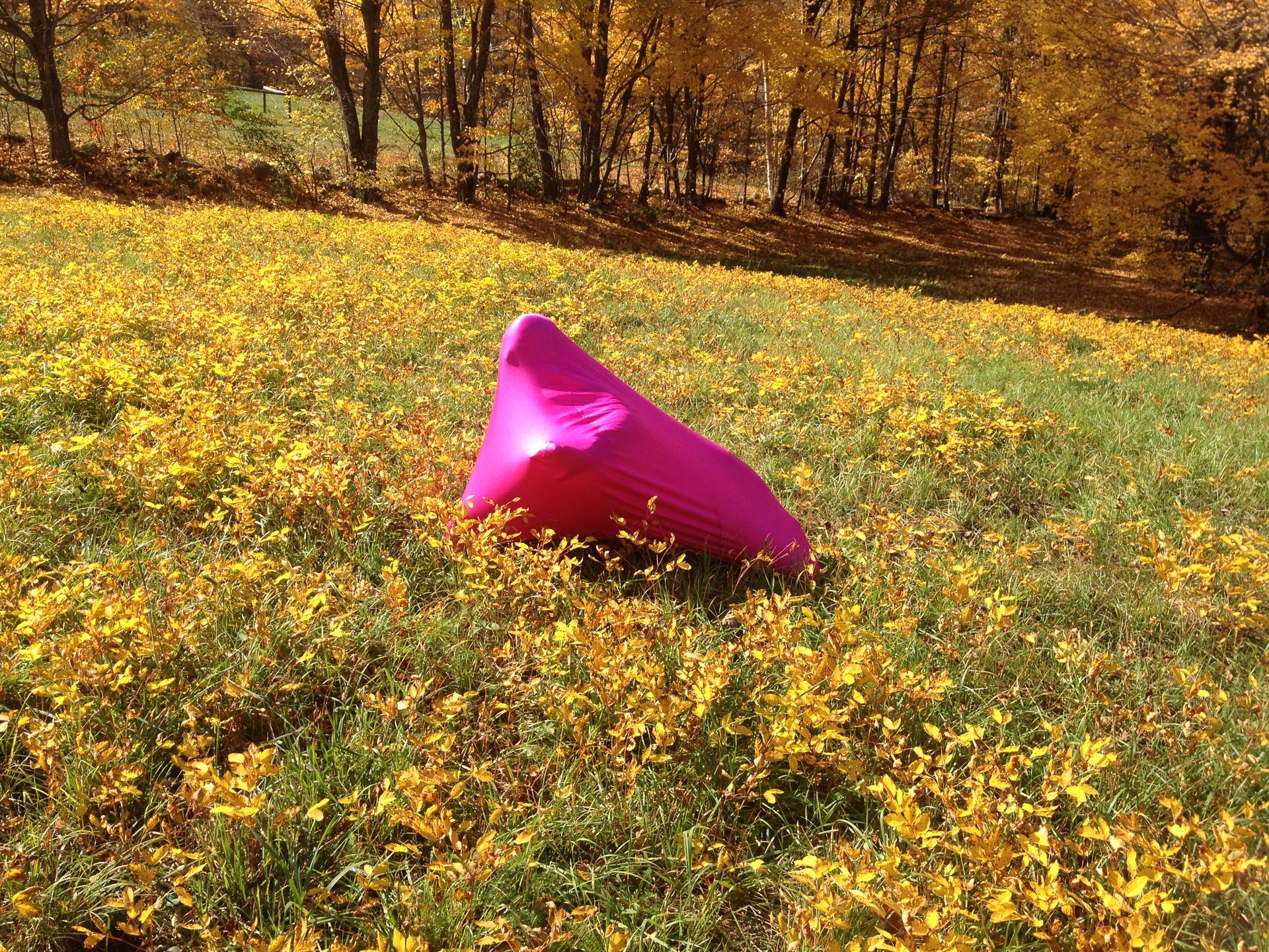 Sunny Fall day in Vermont